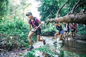 BIB: 
                            <button type="button" onclick="openModal(25441220)" class="btn btn-primary btn-sm float-right btn-popup" data-toggle="modal" data-target=".modal-high-quality">
                        <i class="fas fa-shopping-cart"></i> Add to Cart
                    </button>
                                            <button type="button" onclick="isThisMe(25441220, true)" class="btn btn-success btn-sm float-right btn-popup btn-isme hidden" data-toggle="tooltip" data-placement="bottom" title="นี่คือรูปของคุณใช่ไหม คลิกที่นี่เพื่อเอาเข้าอัลบั้ม">
                        <i class="fas fa-plus"></i> Add to album
                    </button>
                    <button type="button" onclick="isThisMe(25441220, false)" class="btn btn-warning btn-sm float-right btn-popup btn-isnotme hidden">
                        <i class="fas fa-ban"></i> Remove from album
                    </button>